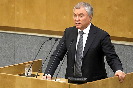 Володин назвал приоритетом для Госдумы меры для контроля за миграцией