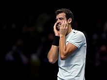 Димитров завоевал титул на Итоговом чемпионате ATP, обыграв Гоффена в финале