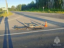 Опубликованы фото с места ДТП с пострадавшими на Бору
