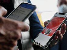 На Кубани с 6 ноября вводят систему QR-кодов для всего общепита