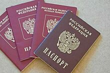 Число оснований для лишения приобретенного гражданства РФ предложили увеличить