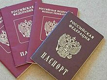 Число оснований для лишения приобретенного гражданства РФ предложили увеличить