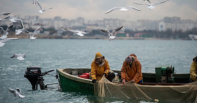 Экономика в Крыму: между санкциями и масштабными проектами (WirtschaftsWoche, Германия)