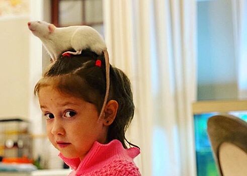 «Взгляд папин!» Прилучный выложил фото 4-летней дочки на маникюре и умилил фанатов