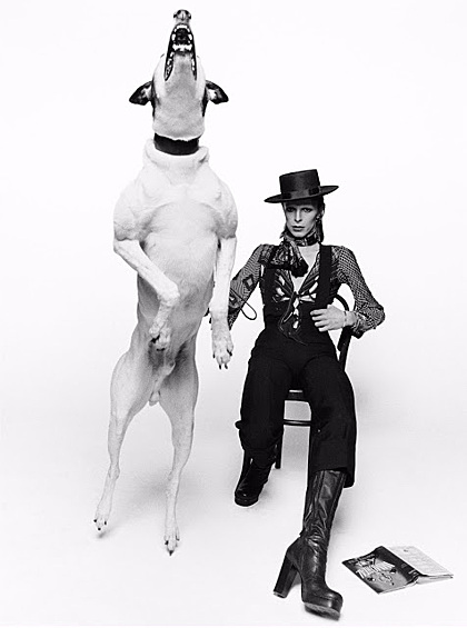 Фото Дэвида Боуи для обложки его 8-го альбома Diamond Dogs. Лондон, 1974 год. «Всю съемку собака спокойно пролежала у его ног, но, когда мы закончили, она неожиданно подпрыгнула. Мне повезло, что я не успел отложить камеру. Этот снимок в результате и был использован для альбома», — воспоминания Терри О’Нила.