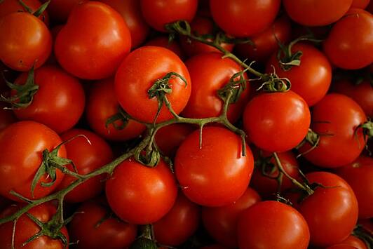Что делать с помидорами, чтобы не пропали