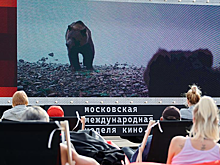 «Евровидение» в Вене и мобильный кинотеатр в Москве — хорошие новости недели