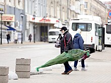 Могут быть опасными, не выбрасывать: эксперт о том, как правильно утилизировать новогодние ели
