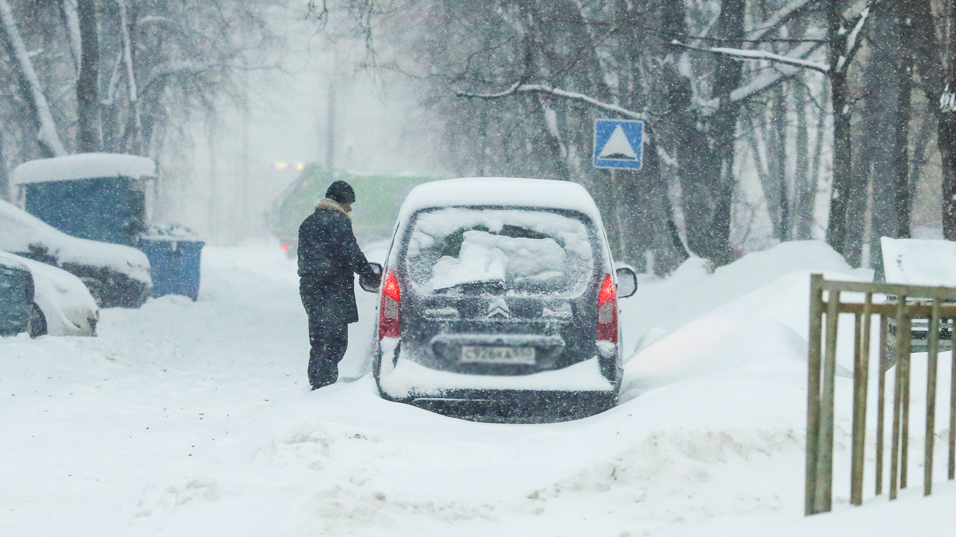 ������������&nbsp; ��������� ����������� ����: 7������� ������ ���������, ������� ������� ����������� ���������