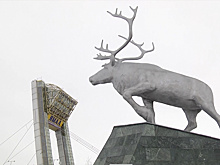 Культурный обмен: студенты МГУ из Китая делятся опытом в Салехарде