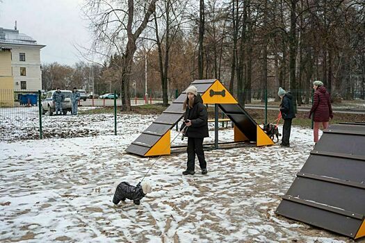 В парке им. Гагарина открылась площадка для выгула собак