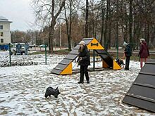 В парке им. Гагарина открылась площадка для выгула собак