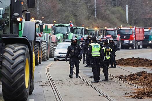 Глава Минсельхоза Чехии обиделся на рассыпавших навоз протестующих фермеров