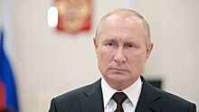 Путин: проведение дистанционной шахматной олимпиады широко поддержали