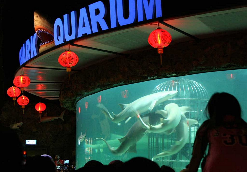 Океанариум Sea World, Джакарта, Ява, Индонезия, Азия