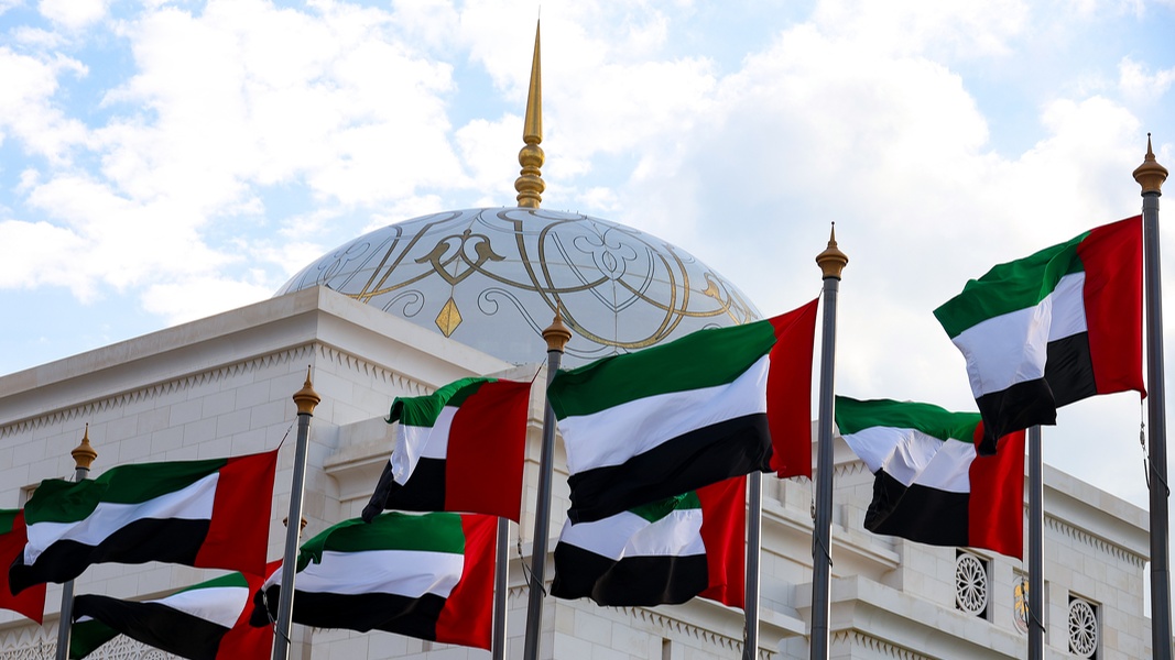 В России оценили решение властей ОАЭ по выходу из ОПЕК и ОПЕК+