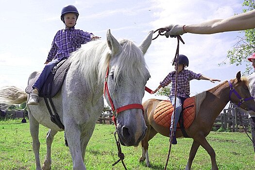 Агротуризм в Великорецком — общение с лошадьми и дегустация домашнего сыра