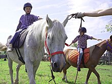 Агротуризм в Великорецком — общение с лошадьми и дегустация домашнего сыра
