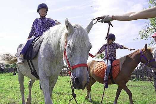 Агротуризм в Великорецком — общение с лошадьми и дегустация домашнего сыра