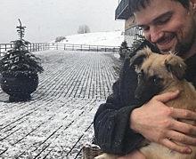 Козловский и Боярская поддержали петицию против убийства бродячих собак к ЧМ-2018