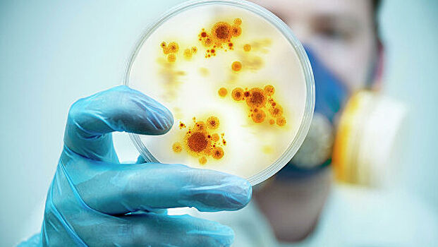 Ученые придумали, как победить бактерии без антибиотиков