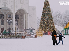 В новом году куряне смогут подняться на крышу драмтеатра