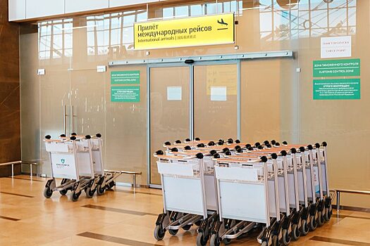 Сотрудников красноярского аэропорта накажут за двухчасовую задержку багажа