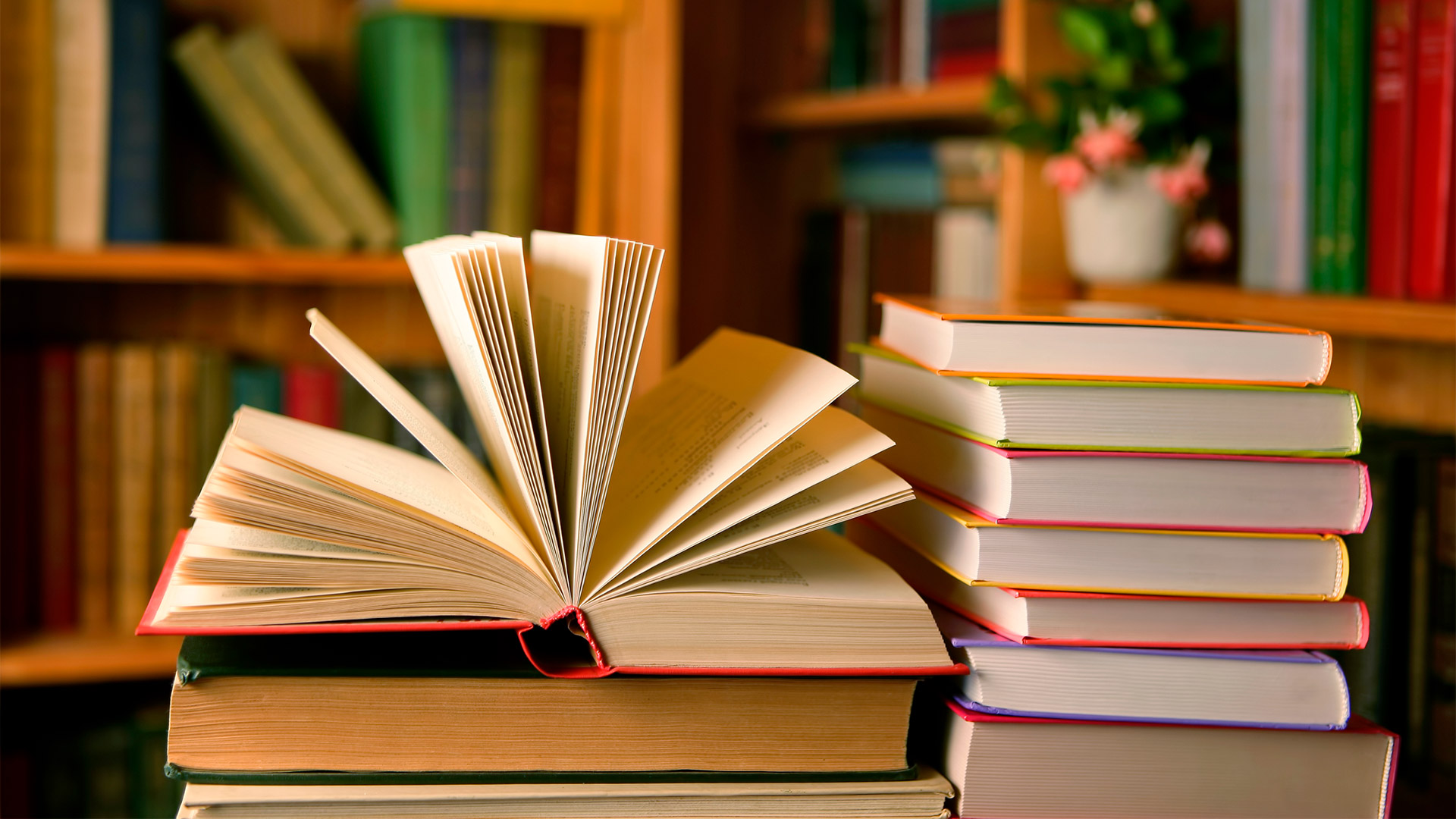 От Гарри Поттера до Тайного Санты: стали известны результаты челленджа по чтению «Книжный вызов»