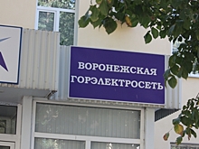 Продажу акций АО «Воронежская горэлектросеть» отложили до конца октября — 2019