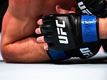 Названы бойцы, получившие бонусы по итогам UFC Fight Night 232