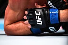 Названы бойцы, получившие бонусы по итогам UFC Fight Night 232