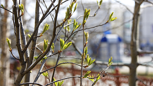 Ямальцев ждёт заметное потепление в последние дни мая