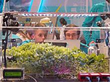 Недетские задачи. Какие кейсы решают школьники на форуме «ПроеКТОрия»