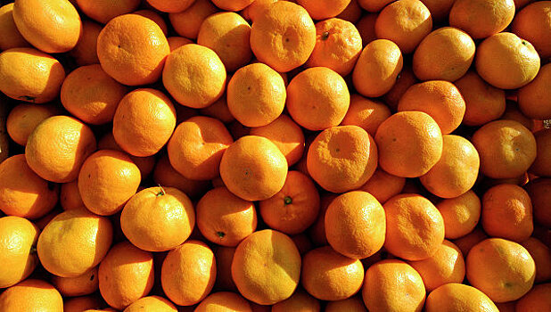 Абхазия увеличит поставки мандаринов в Россию