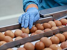 Куриные яйца в России подорожали