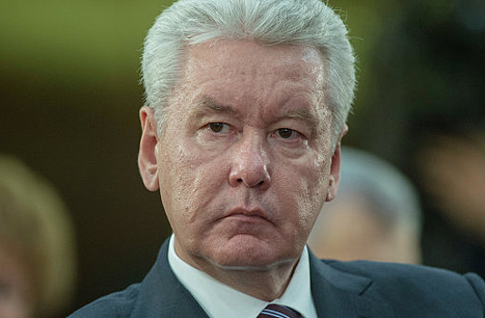 Собянин рассказал о числе приезжих на ЧМ-2018 в Москву