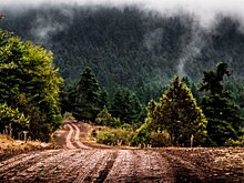 Acropolis Rally: сюрпризы и потери на старте