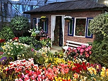 Куда пригласить девушку на 8 марта: 10 оригинальных идей