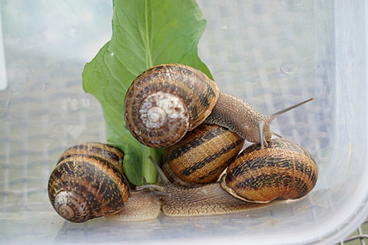 Читайте в свежем выпуске газеты "Волжская коммуна" 27 июля