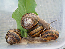 Читайте в свежем выпуске газеты "Волжская коммуна" 27 июля