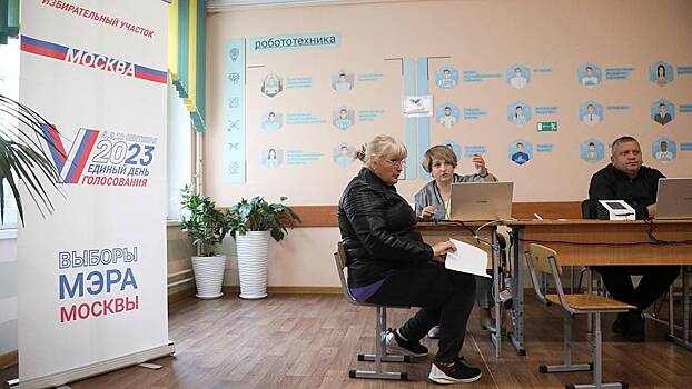 Политолог Костин отметил высокий уровень организации выборов мэра Москвы