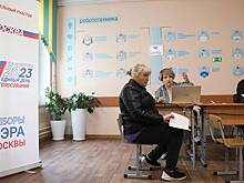 Политолог Костин отметил высокий уровень организации выборов мэра Москвы