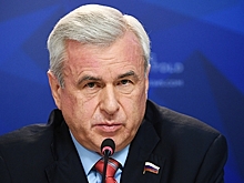 Экс-депутат Госдумы оценил шансы Рашкина избежать наказания