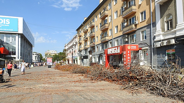 У «Макдоналдса» на проспекте Кирова в Саратове снесли большую часть деревьев