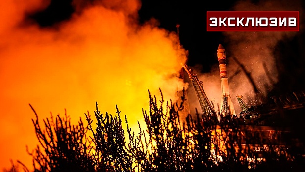 Каких берут в космонавты: на орбиту отправили мышей, которые не дерутся