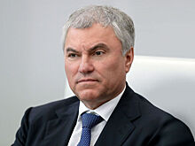 Володин пригласил киргизского коллегу посетить Россию