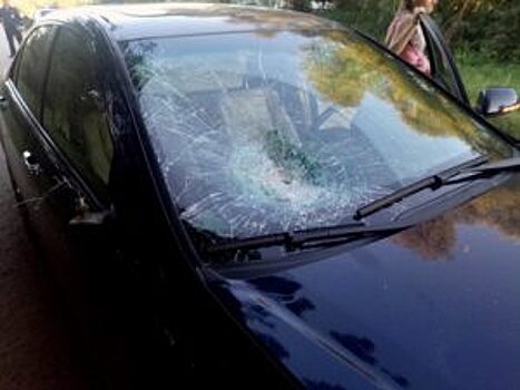 В Рязанской области москвич на «Хонде» сбил двух детей