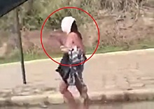 В Бразилии обнаженная девушка с юбкой на голове прогулялась по трассе