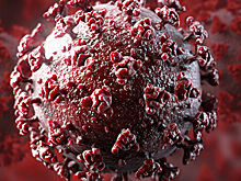Ученые предложили переименовать коронавирус