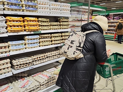 Масложировой союз ожидает серьёзного падения цен на подсолнечник